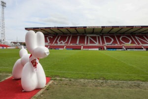 Balloon dog at the football pitch looking at the camera